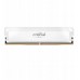 MEMORY DIMM 16GB DDR5-6400/CP16G64C32U5W CRUCIAL CP16G64C32U5W (649528947482)