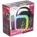 Duo Karaoke Party Speaker W/ 2 x Mics