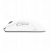 BENQ Zowie Mouse Gaming Gear FK2-DW Glossy