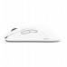 BENQ Zowie Mouse Gaming Gear FK2-DW Glossy