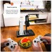 Multifunctionala station FIXED pro Xbox Series X a S with  wentylacją i łaforwaniem dla dwóch controller|ów Xbox, cwith arny