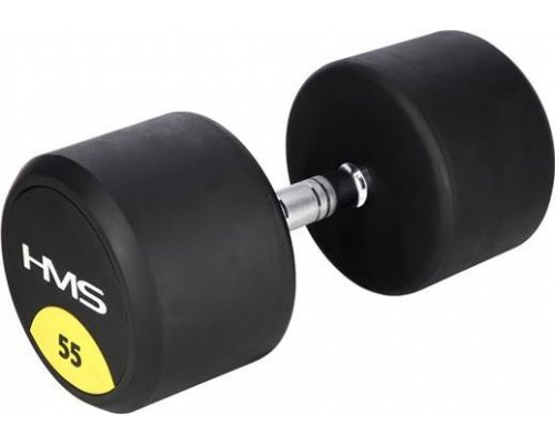 HMS HG PRO rubberized 1 x 55 kg