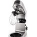 G21  Promesso Gray