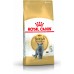 Royal Canin British Shorthair karma sucha dla kotów adults rasy brytyjski krótkowłosy 10kg