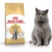 Royal Canin British Shorthair karma sucha dla kotów adults rasy brytyjski krótkowłosy 10kg