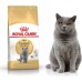 Royal Canin British Shorthair karma sucha dla kotów adults rasy brytyjski krótkowłosy 10kg