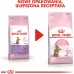 Royal Canin Second Age Kitten Sterilised 0.4 kg
