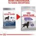 Royal Canin ROYAL CANIN CCN Maxi Sterilised 12kg karma dry for dogs adults, races dużych, sterilized