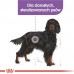 Royal Canin ROYAL CANIN CCN Maxi Sterilised 12kg karma dry for dogs adults, races dużych, sterilized