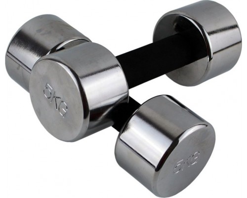 Master Dumbbells chrome plated MASTER 5 kg x 2