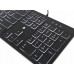 Accura Artesia (ACC-K1408)
