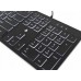 Accura Artesia (ACC-K1408)