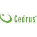 Cedrus CEDRUS PS40-16T PIŁA PILARKA PRZECINARKA SPALINOWA ŁAŃCUCHOWA DO DREWNA OREGON / WALBRO 2 KM - EWIMAX - OFICJALNY DYSTRYBUTOR - AUTORYZOWANY DEALER CEDRUS