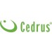 Cedrus CEDRUS PS40-16T PIŁA PILARKA PRZECINARKA SPALINOWA ŁAŃCUCHOWA DO DREWNA OREGON / WALBRO 2 KM - EWIMAX - OFICJALNY DYSTRYBUTOR - AUTORYZOWANY DEALER CEDRUS