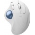 Logitech Ergo M575S White (910-007030)