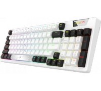 AQIRYS Adara HaiMu Linear Pink (AQI-GA-KB-1)