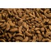 Synteza PIES 2kg EX MEDIUM