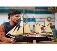 LEGO Icons Выносливость (10335)