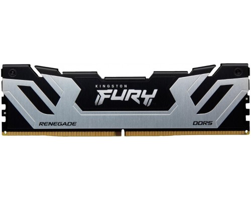 Kingston Fury Renegade, DDR5, 24 GB, 8800MHz, CL42 (KF588CU42RS-24)