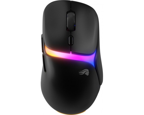 D3 RGB Wireless Czarny