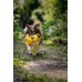 Josera Mini Junior Duck&Salmon 900g