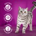WHISKAS Sucha chicken 14kg