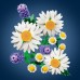 LEGO Botanicals Stokrotki (11508)
