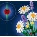 LEGO Botanicals Stokrotki (11508)