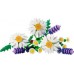 LEGO Botanicals Stokrotki (11508)