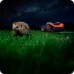 Worx Landroid Vision Cloud 650m2, stereo camera, RTK WR365E