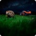 Worx Landroid Vision Cloud 650m2, stereo camera, RTK WR365E