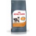 Royal Canin Hair&Skin Care karma sucha dla kotów adults, lśniąca sierść i zdrowa skóra 10 kg