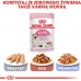 Royal Canin Kitten karma sucha dla kociąt od 4 do 12 miesiąca życia 10 kg