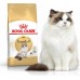 Royal Canin Ragdol Adult karma sucha dla kotów adults rasy ragdoll 2 kg