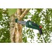 Bosch 06008B3100 18 V 20 cm
