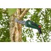 Bosch 06008B3100 18 V 20 cm