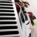 Vilde Zebra White