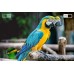 Kruger&Matz KM0232-S6 LED 32'' HD Ready Linux