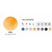 QUERSUS QUERSUS ICOS.1.2 Yellow Canary (Yellow)