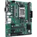 AMD A620 Asus PRO A620M-C-CSM