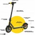 Xrider Hulajnoga Elektryczna XRIDER M10 Light+ Electric Scooter 10Ah EVE Battery 350W motor