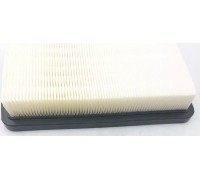 Dedra Filter HEPA do DED7075, DED7174