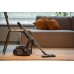 Emerio ECO* Saugkraft 180W Swirl Y50