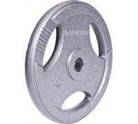 inSPORTline stalowe Hamerton 25kg 30mm - 12714