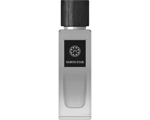 The Woods Collection Perfumy Męskie EDP The Woods Collection 100 ml Natural North Star