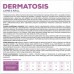 VetExpert Veterinary Diet Dermatosis dog Lamb&Krill 12kg