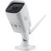 Zintronic IKTW530V1-W