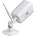 Zintronic IKTW530V1-W