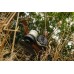 Bosch GRT18V-40