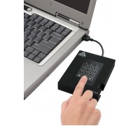 Apricorn Aegis Padlock Fortress 256 GB USB 3.2 Gen 1 (3.1 Gen 1) Black